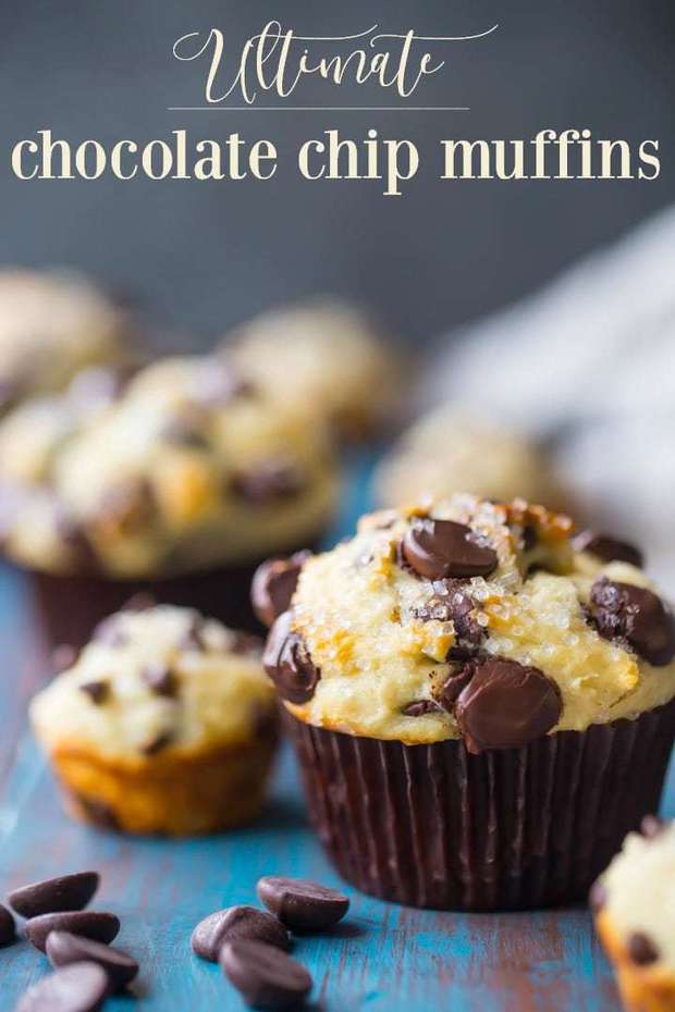 Chocolate chip muffins