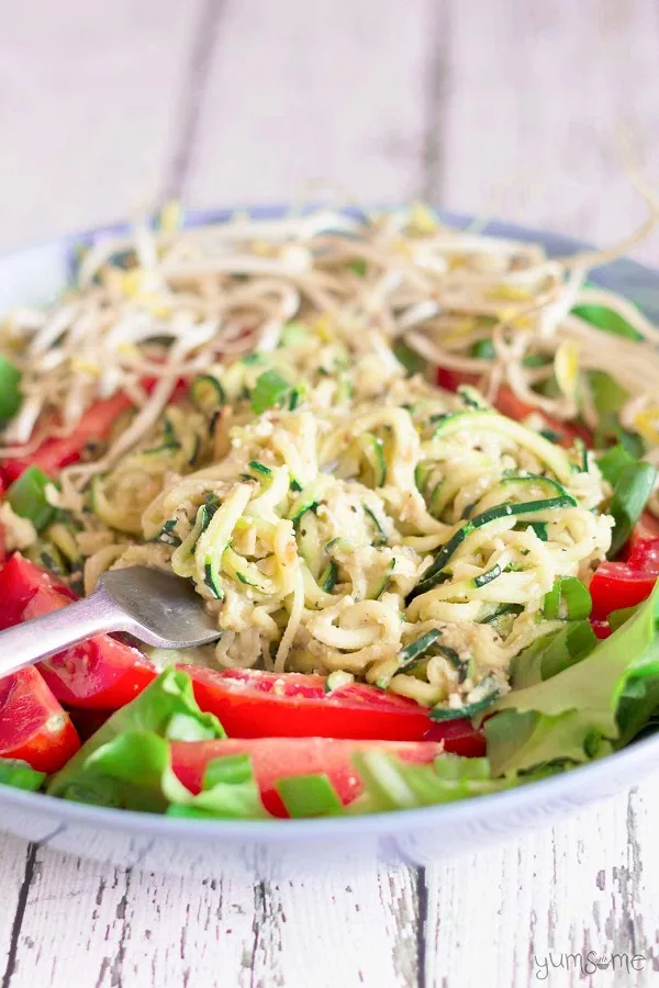 Healthy 5-Ingredient Vegan Parmesan Zoodles