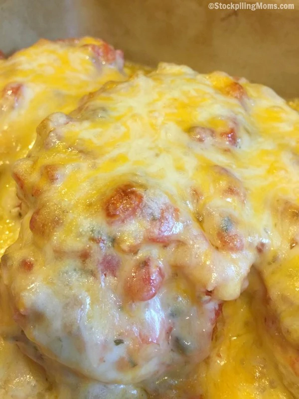 Salsa & Cheese Chicken