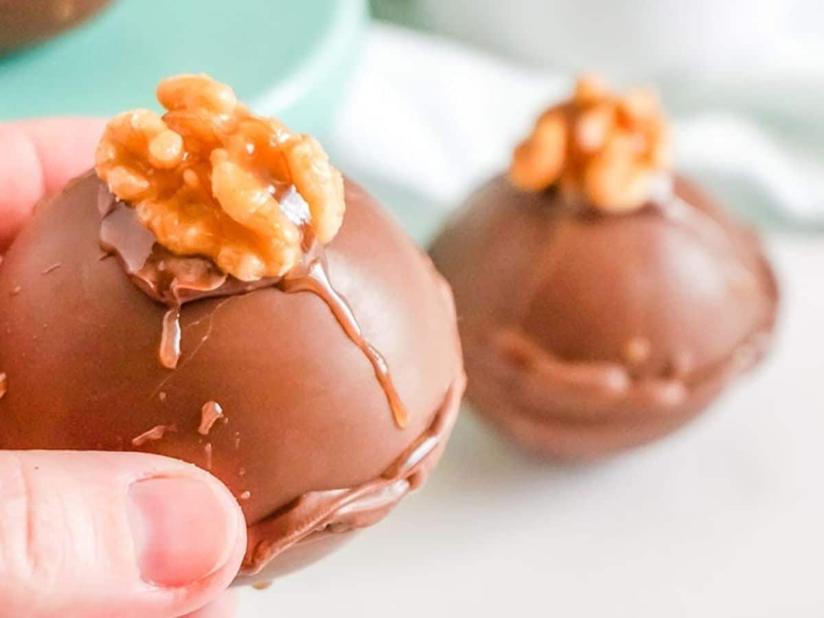 Turtle Hot Cocoa Bombs
