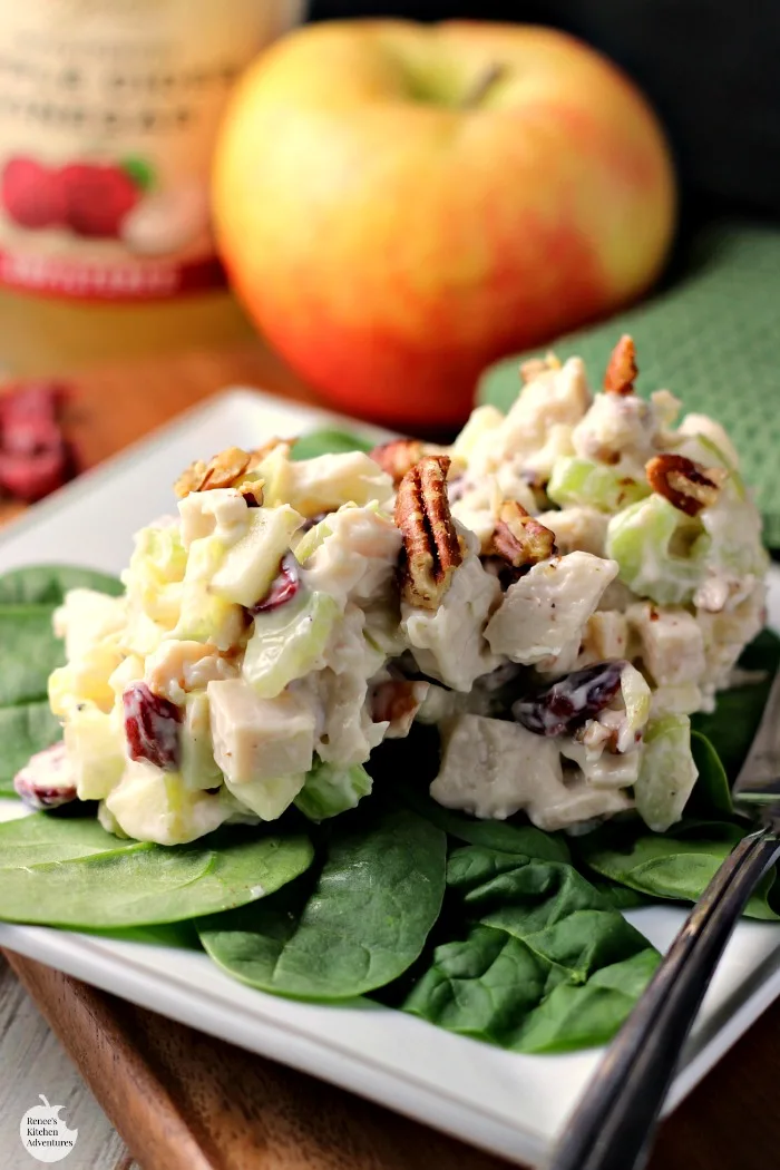 Turkey Apple Cranberry Pecan Salad