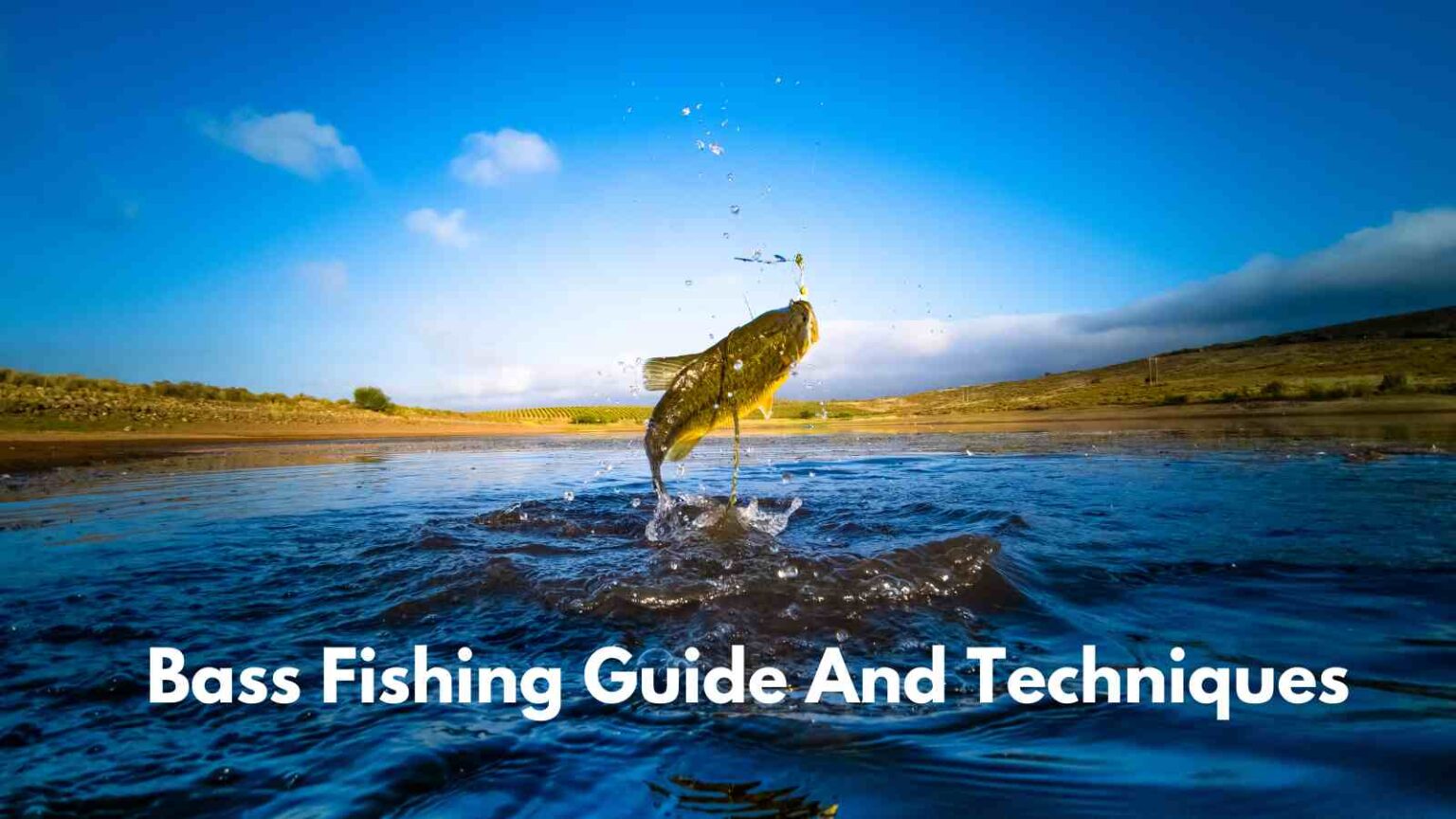 Bass Fishing Guide and Techniques