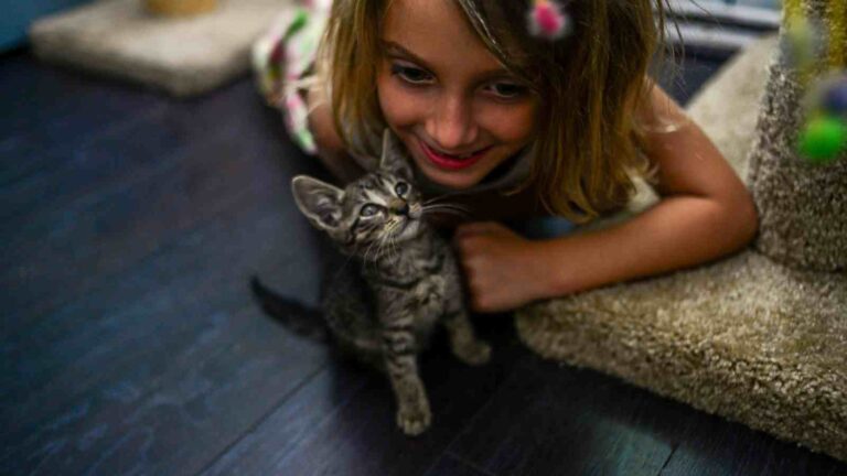 care-for-your-pet-kittens-with-these-tips