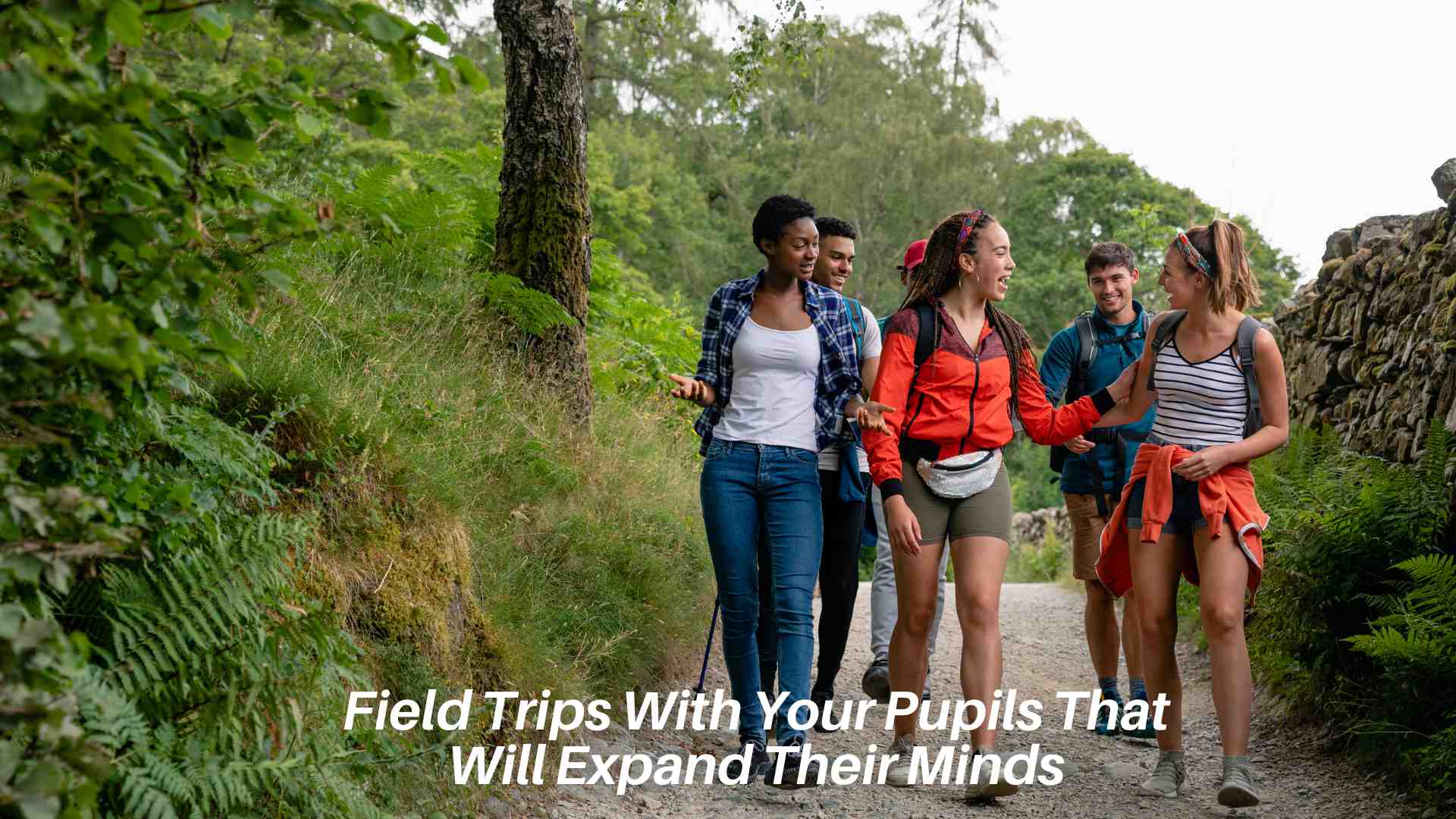 Field Trips With Your Pupils That Will Expand Their Minds