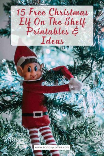 15 Free Christmas Elf On The Shelf Printables & Ideas