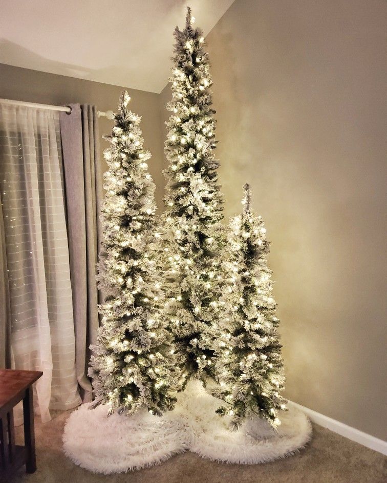 Slim Christmas trees