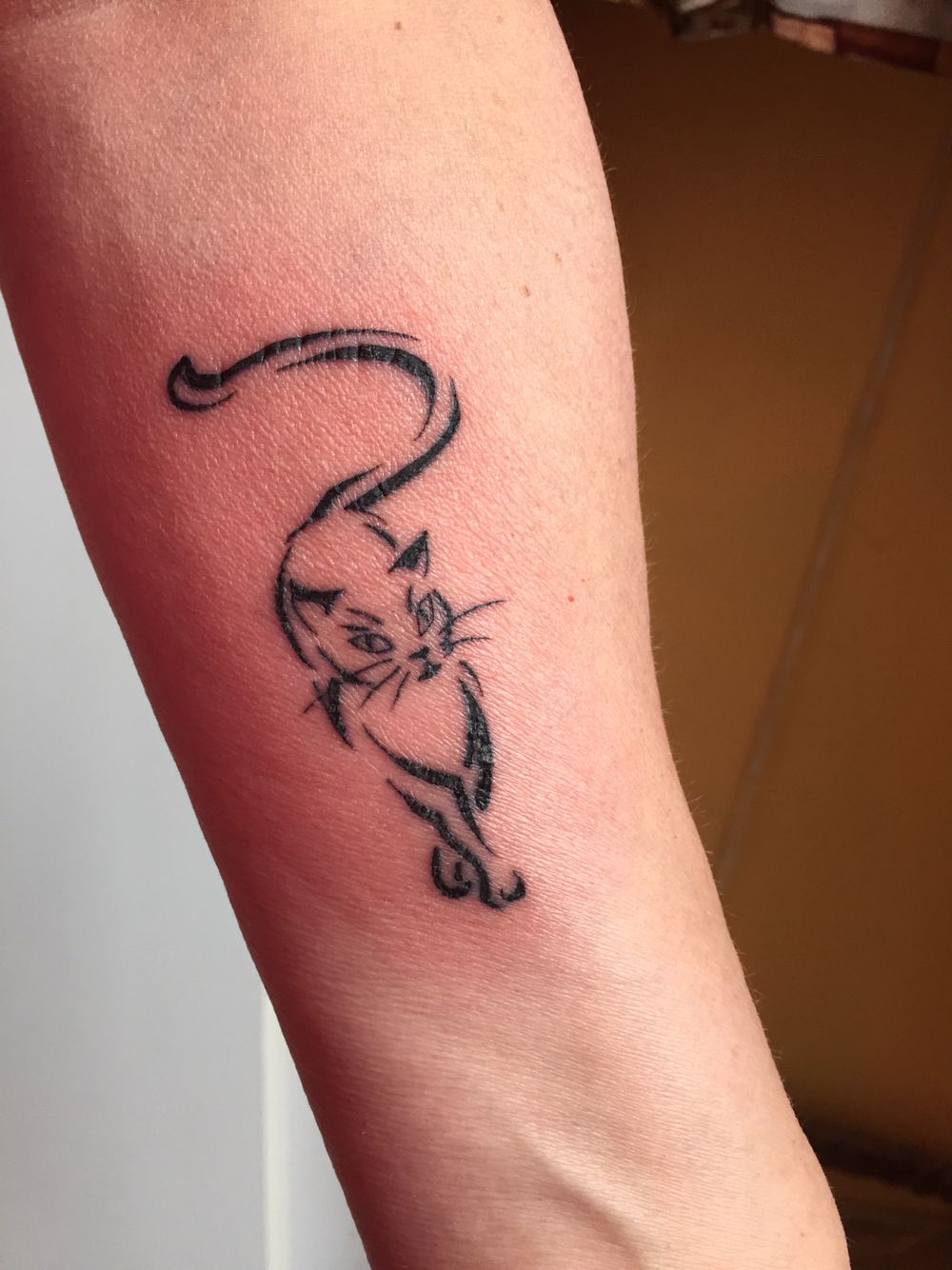 Amazing Cat Tattoo You Need to Get Now