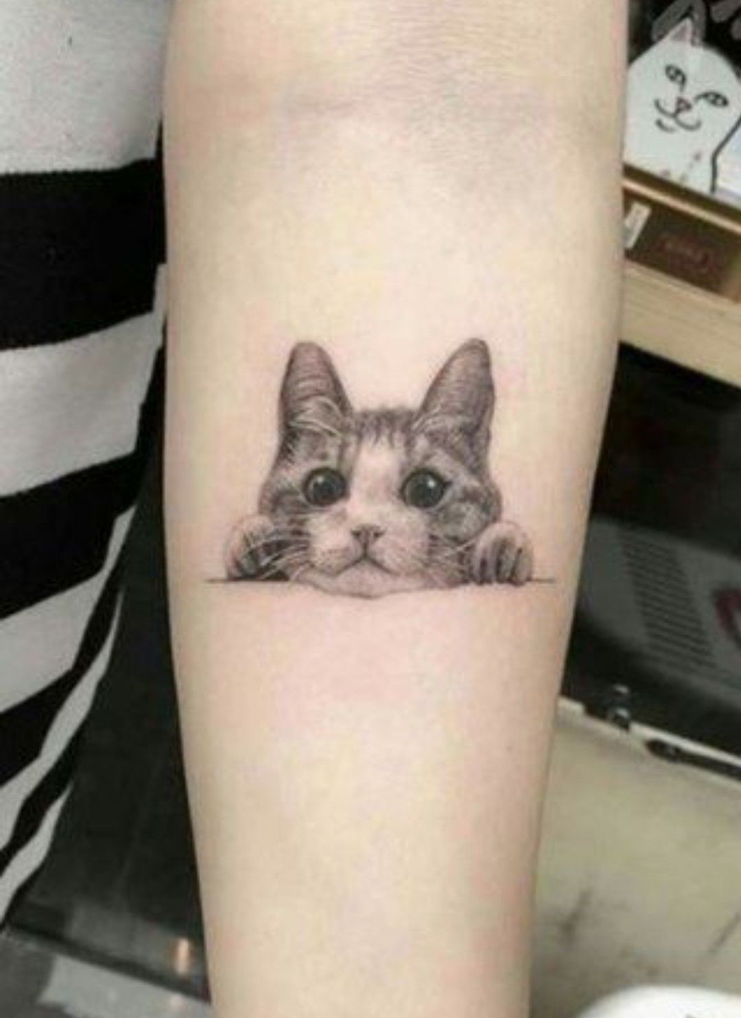 Peekaboo Cat Tattoo