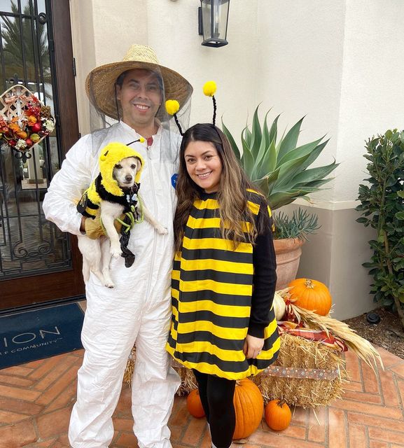 Bee and beekeeper