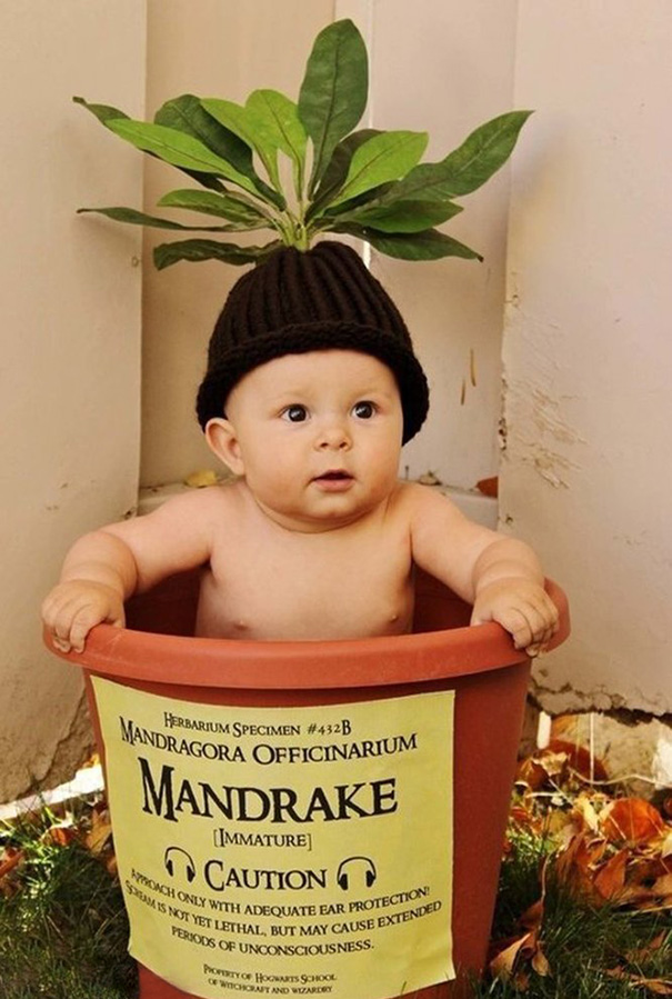 Harry Potter Mandrake Costume