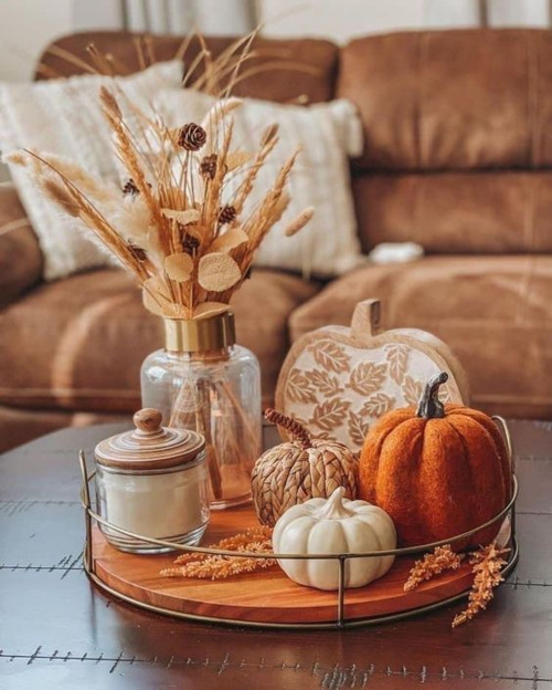 Fall and rustic tray